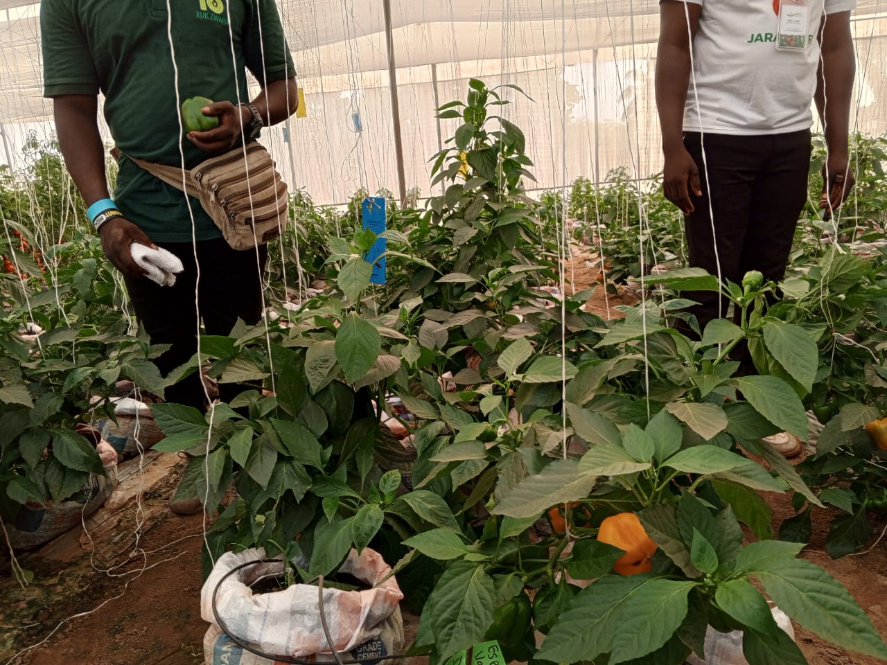 Au Cœur de la Nature : Les Projets Agricoles Innovants de l'ANDAD